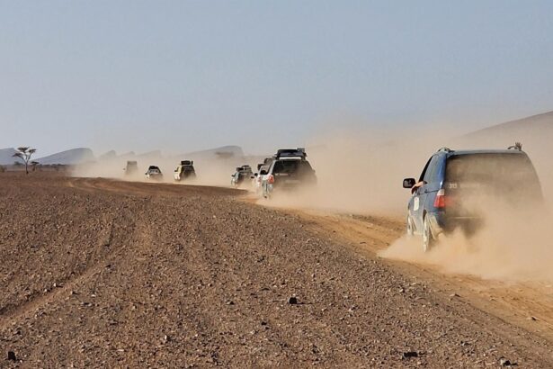 off to the beet ralle